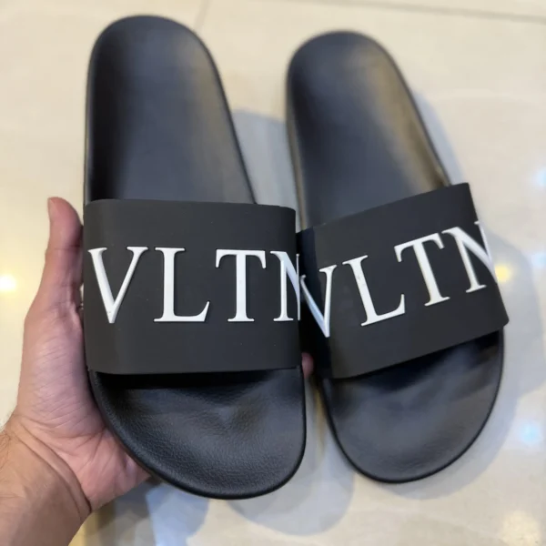 VLTN Slides